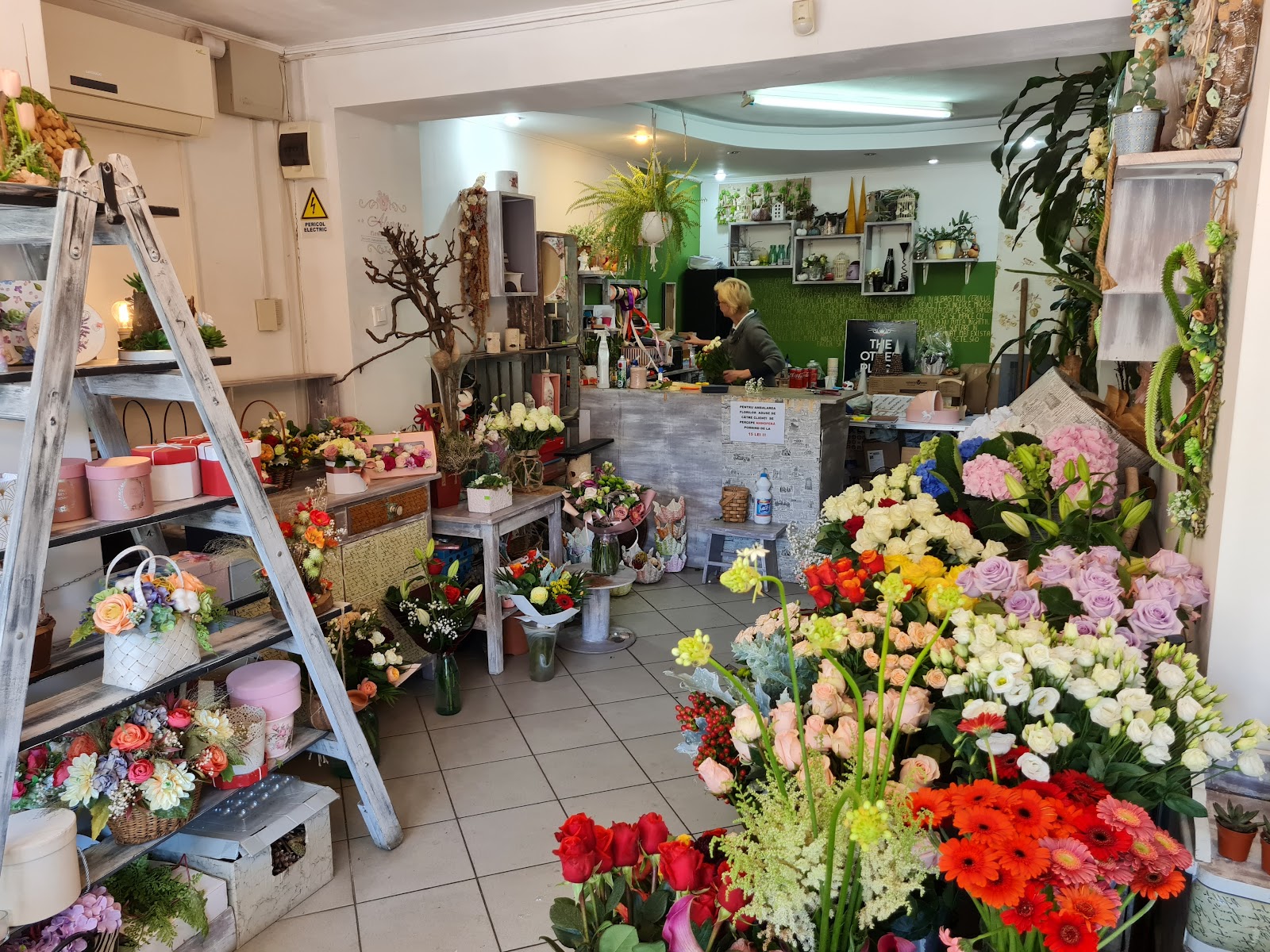 Alegra flower design