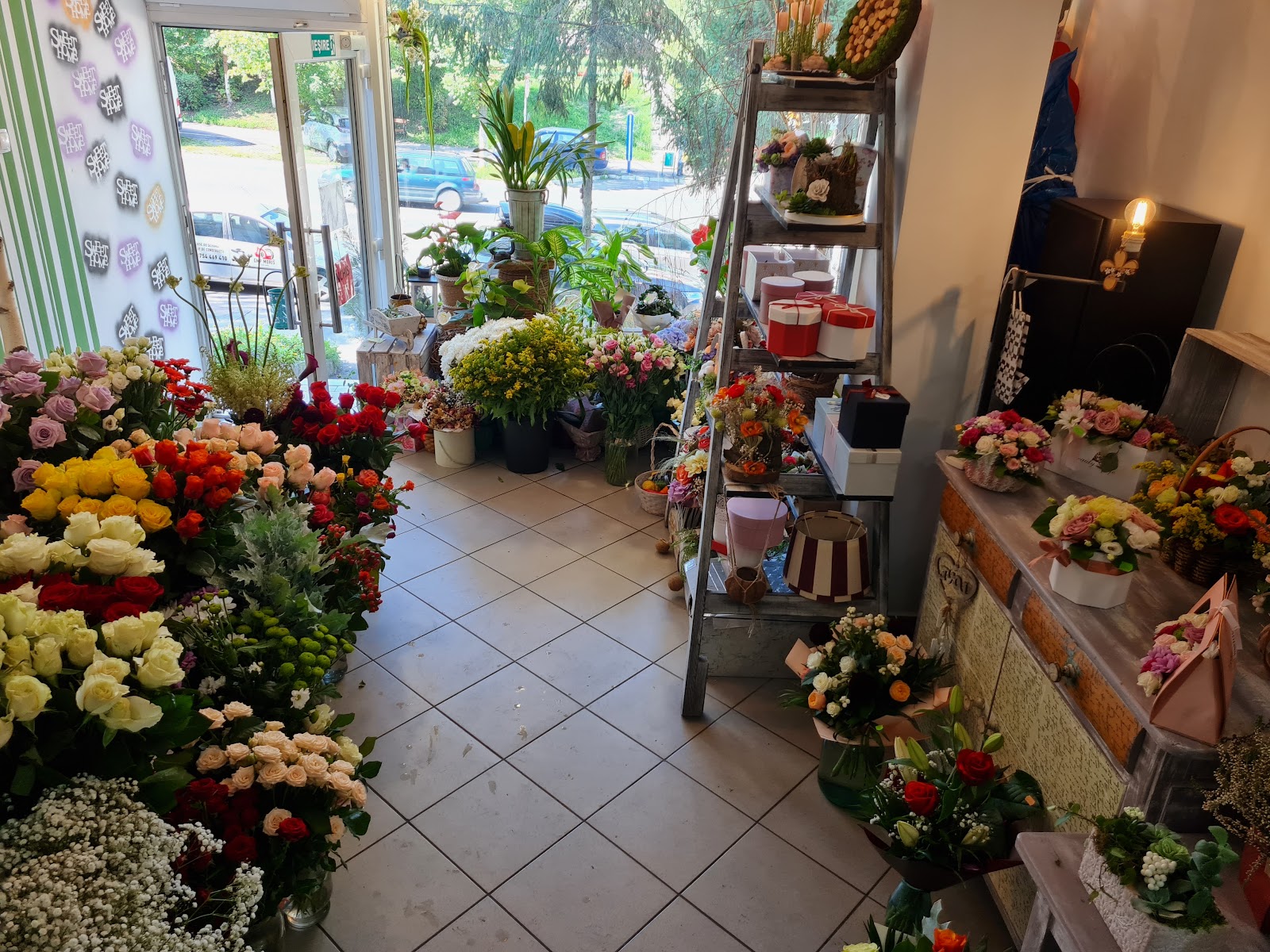 Alegra flower design