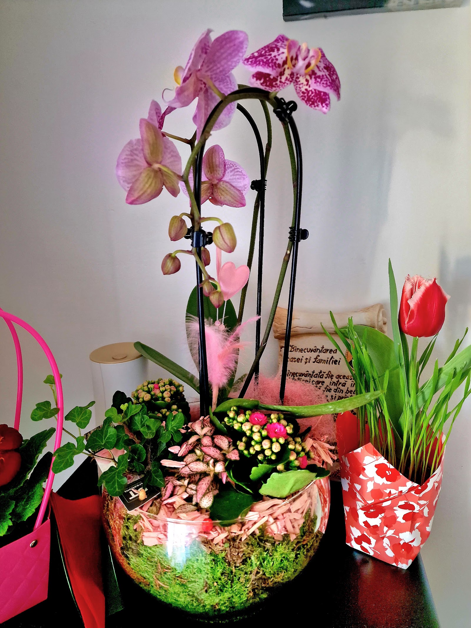 FLORĂRIA RED TULIP