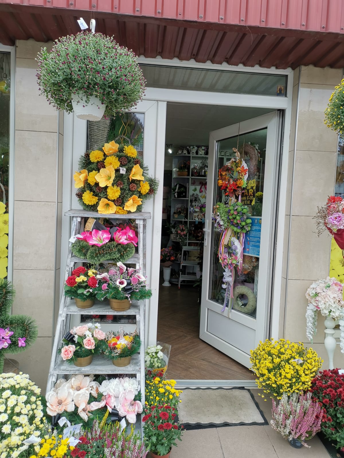 Floraria Claudia Mures