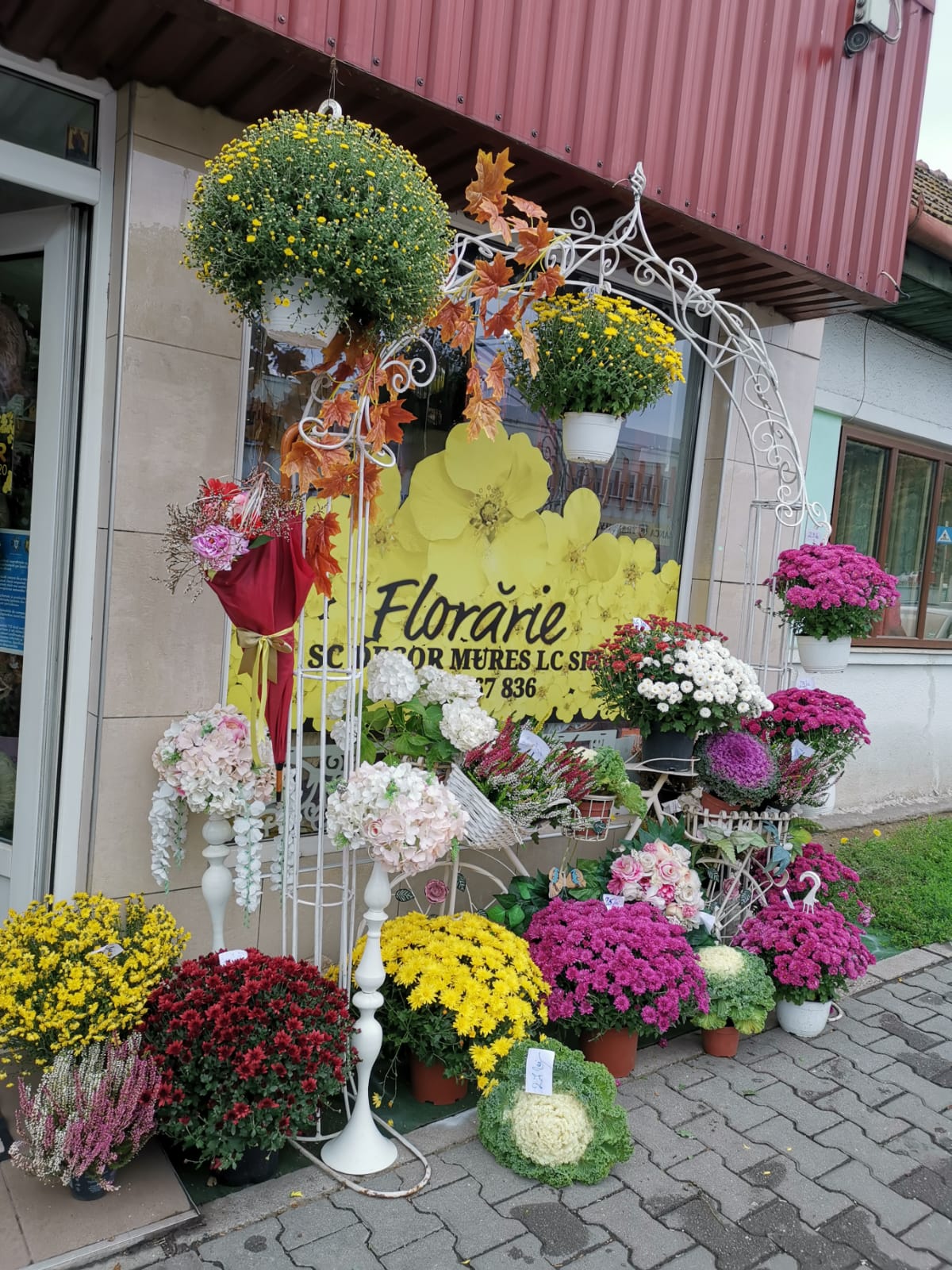 Floraria Claudia Mures