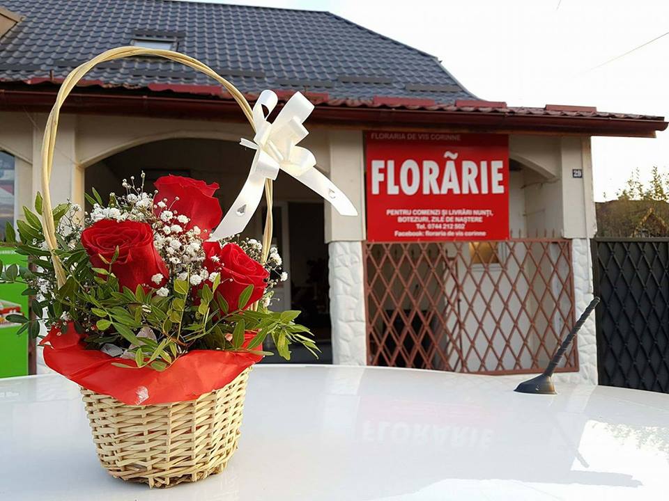 Florăria de Vis Corinne_Mures
