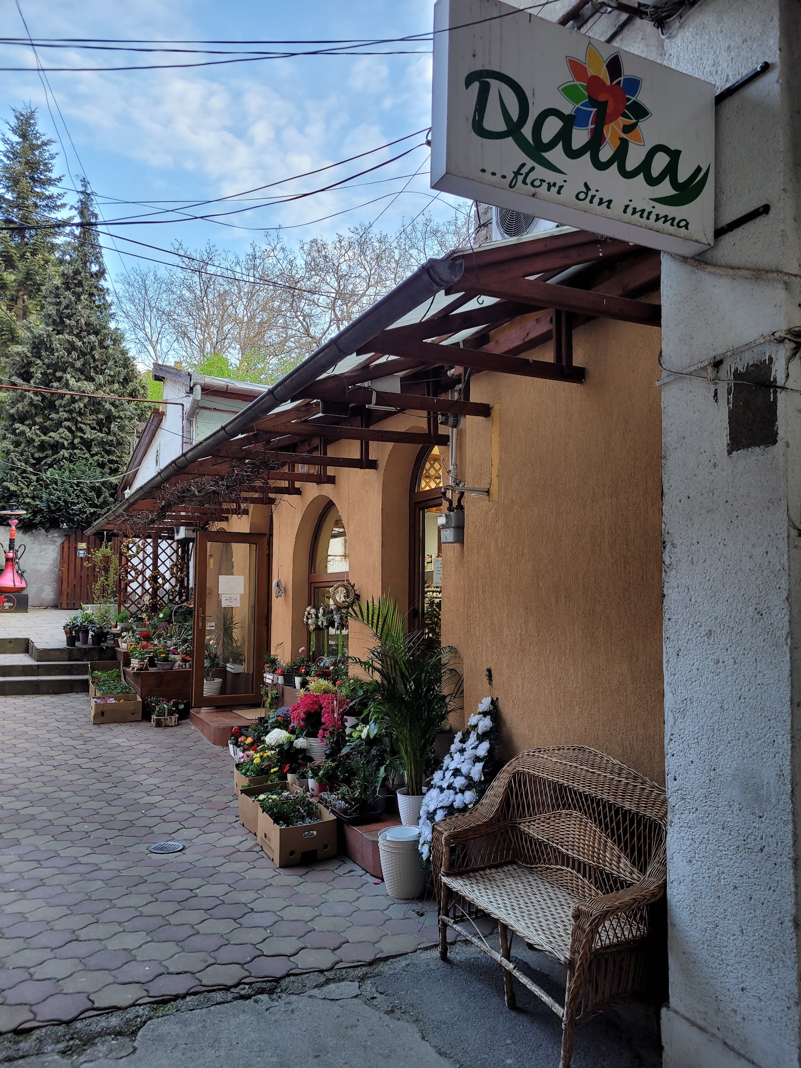 Floraria Dalia