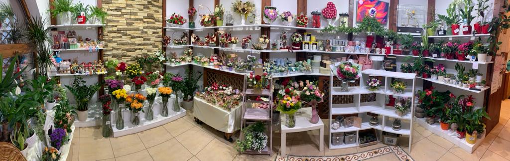 Floraria Dalia
