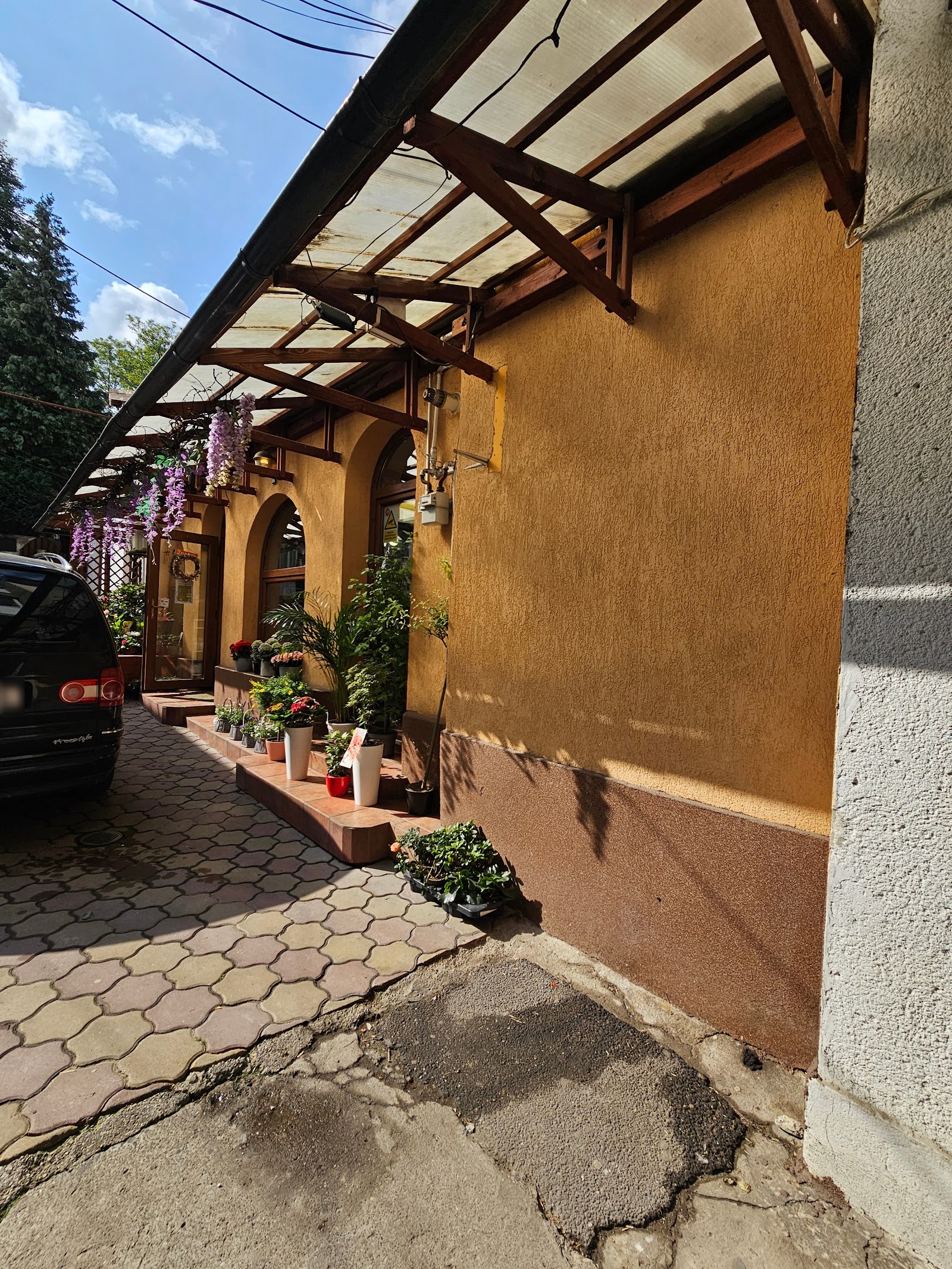 Floraria Dalia