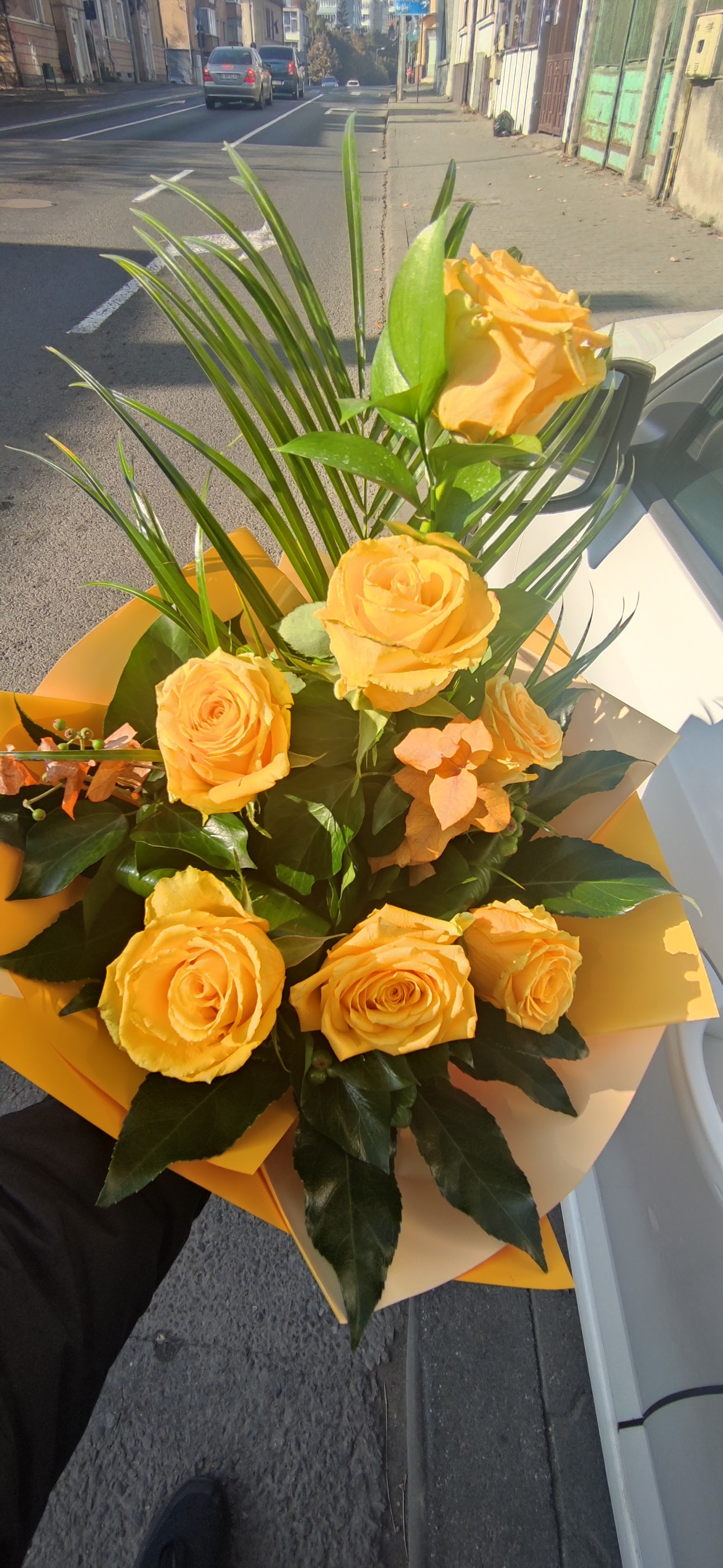 Floraria Amérie