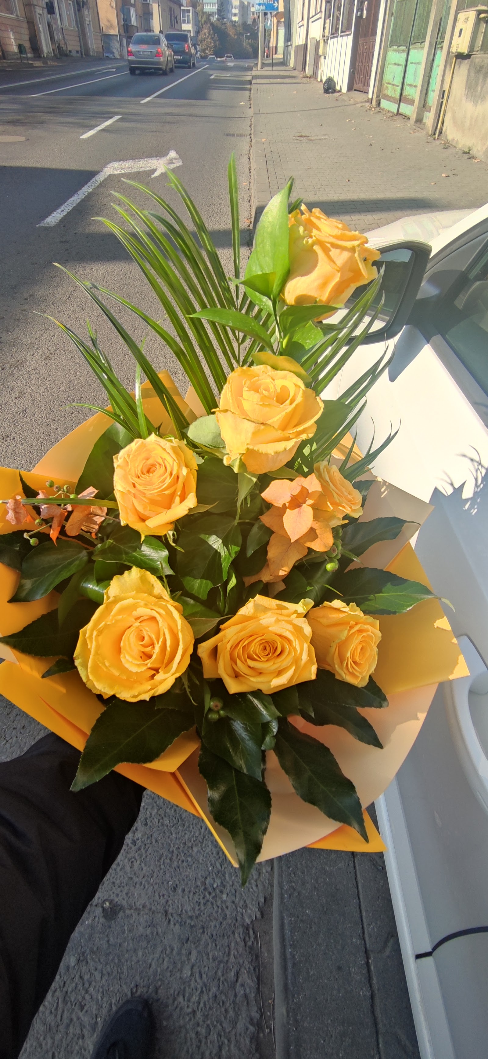 Floraria Amérie