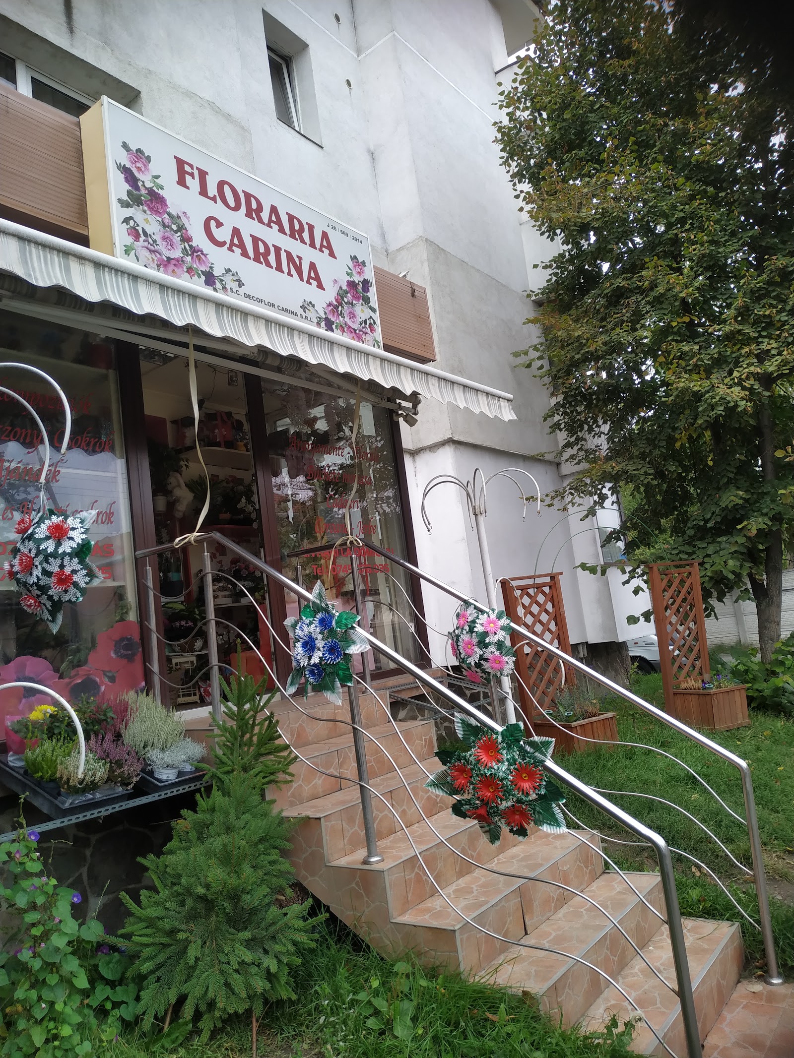 Floraria Carina