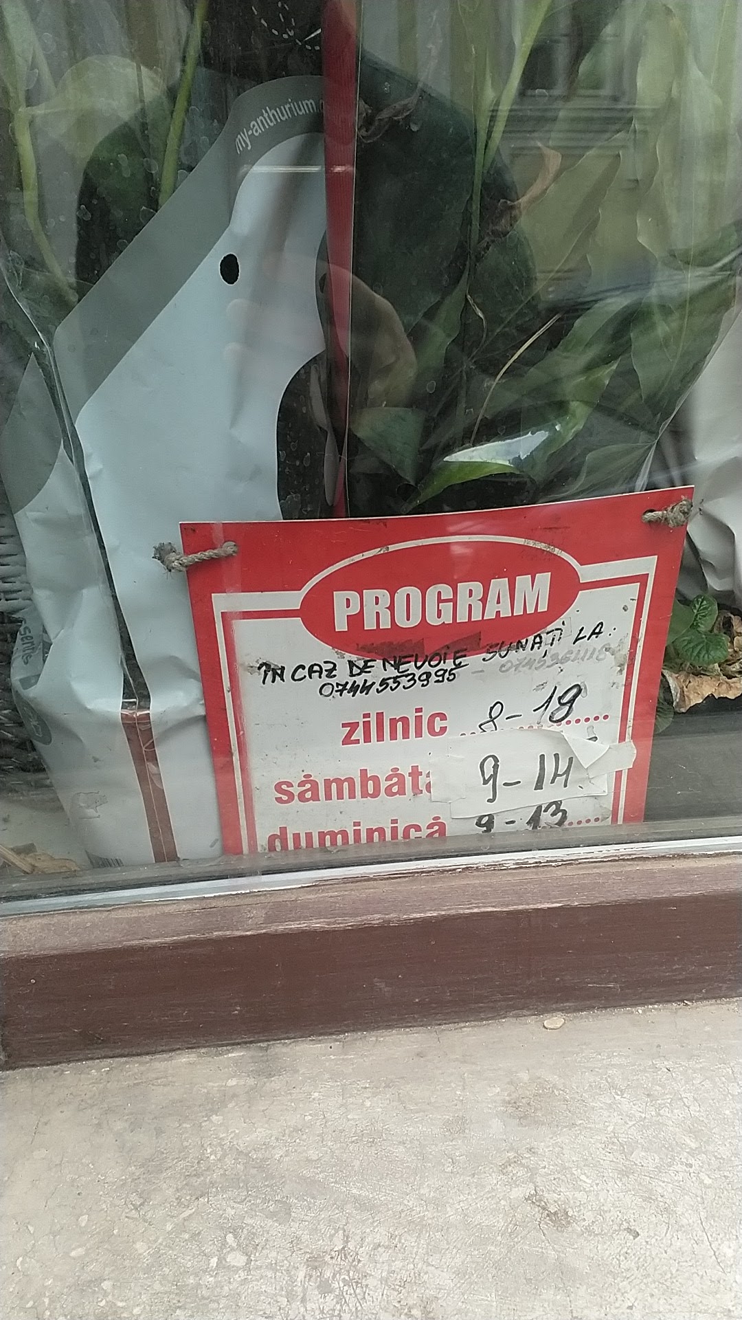Florăria Camelia
