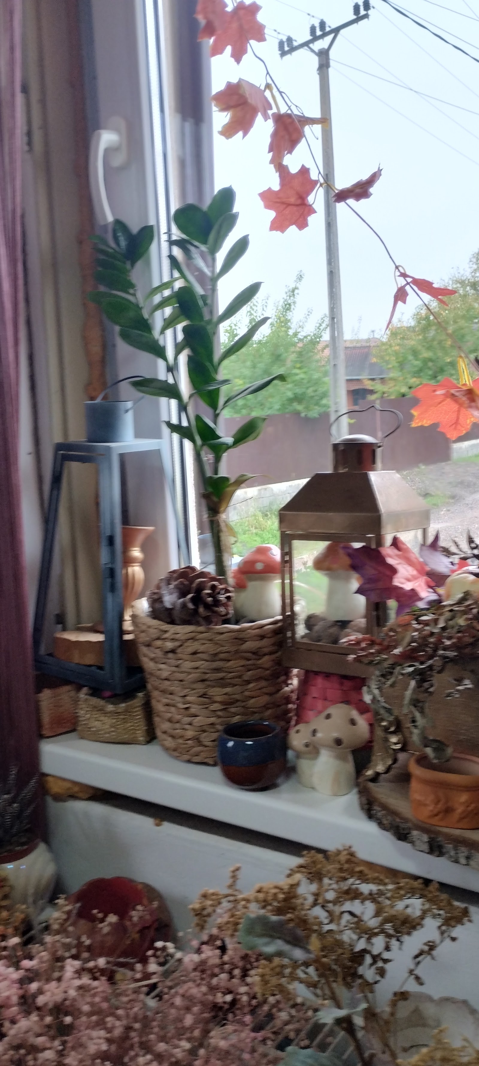 Atelier floral Passion for flowers SzM