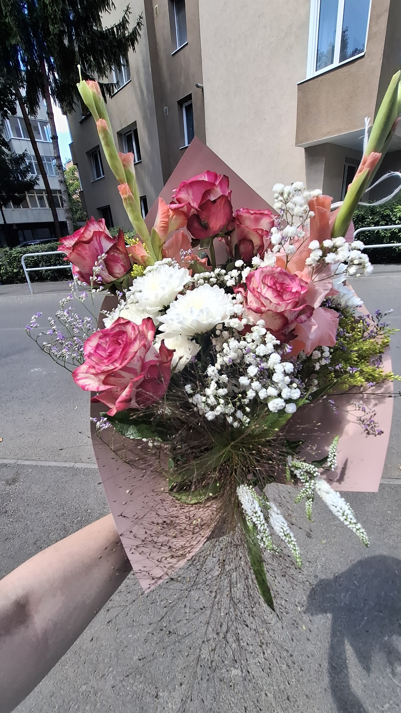 Floraria lui Nico