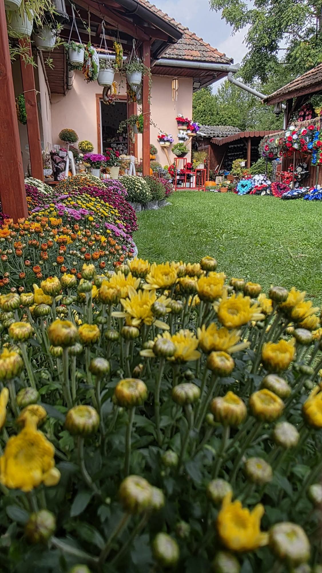 Floraria Elsa-Raul