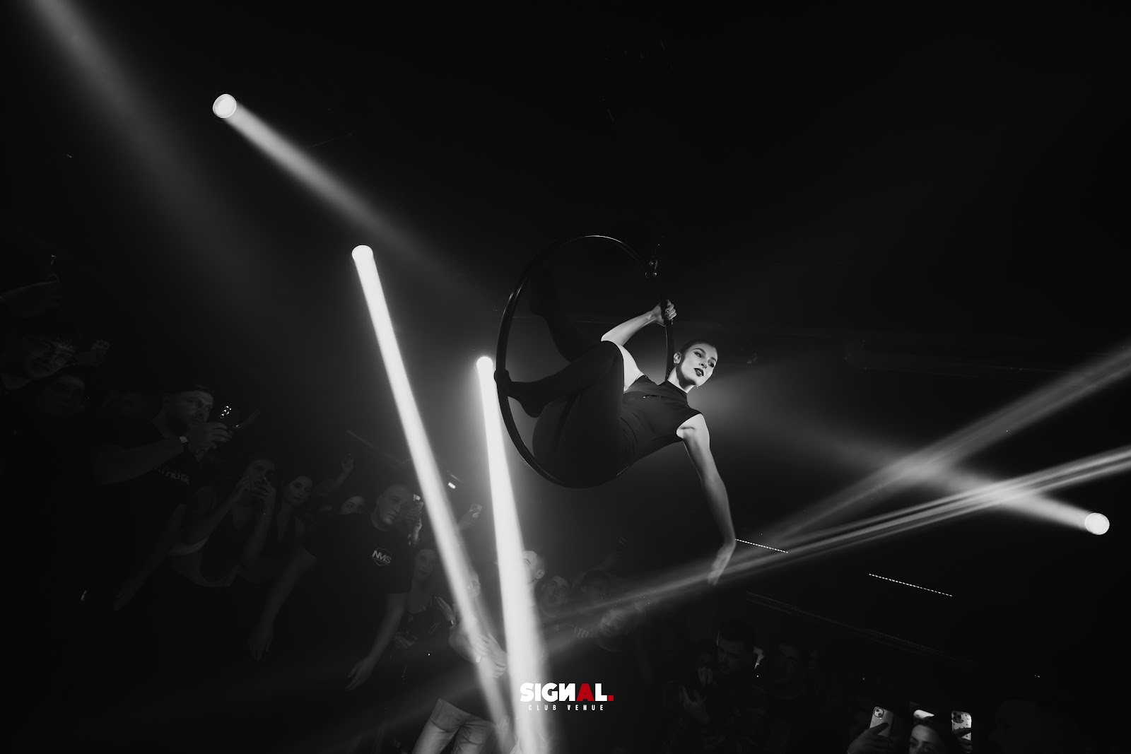 SIGNAL CLUB