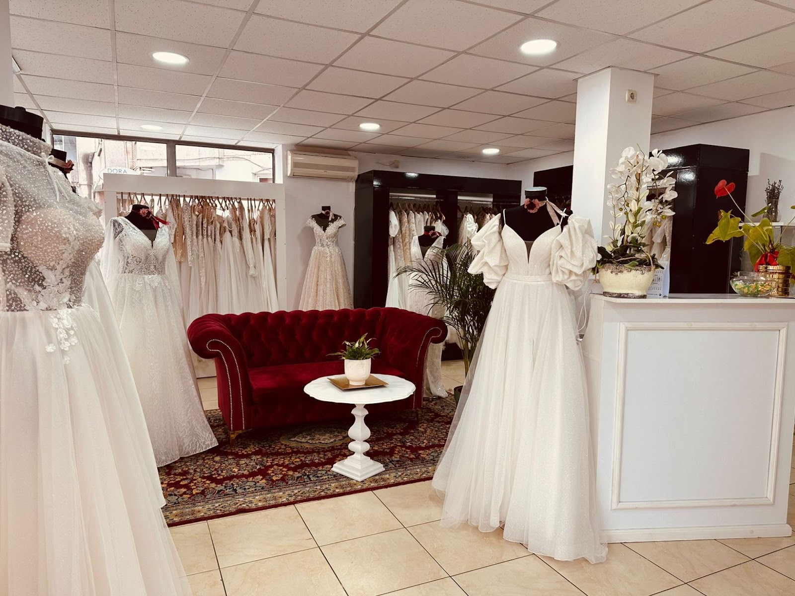 Salon Enamorada