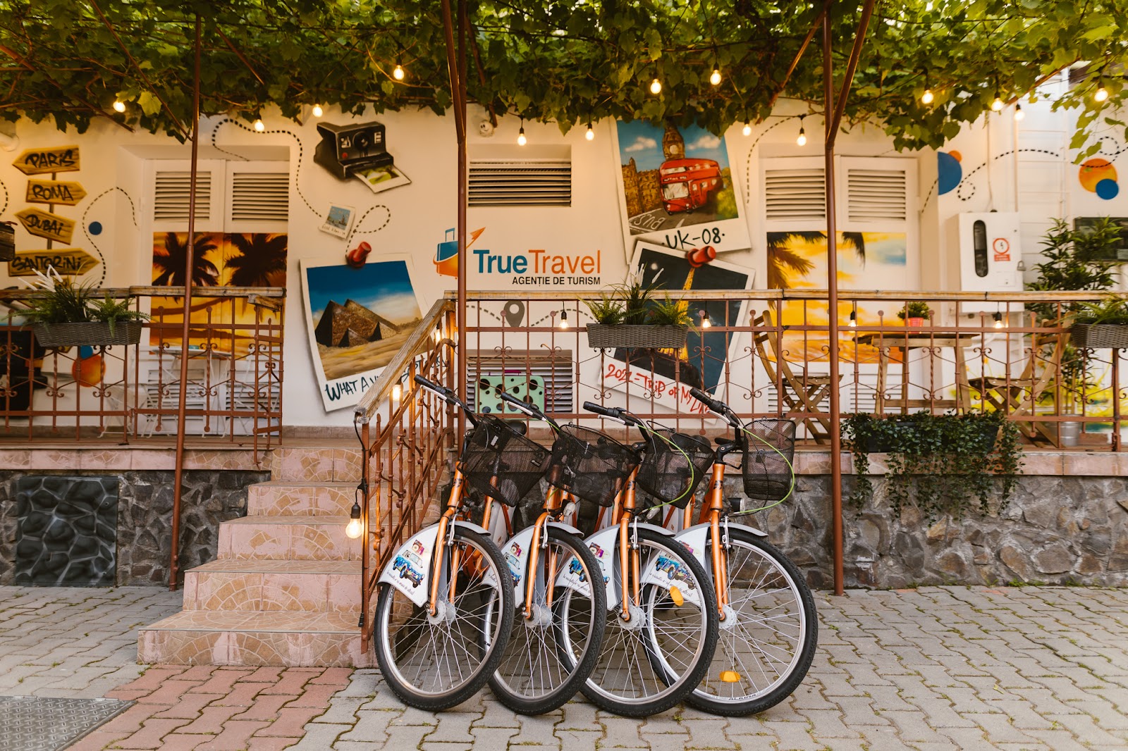 True Travel