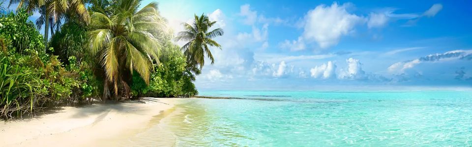 Sunny Beach