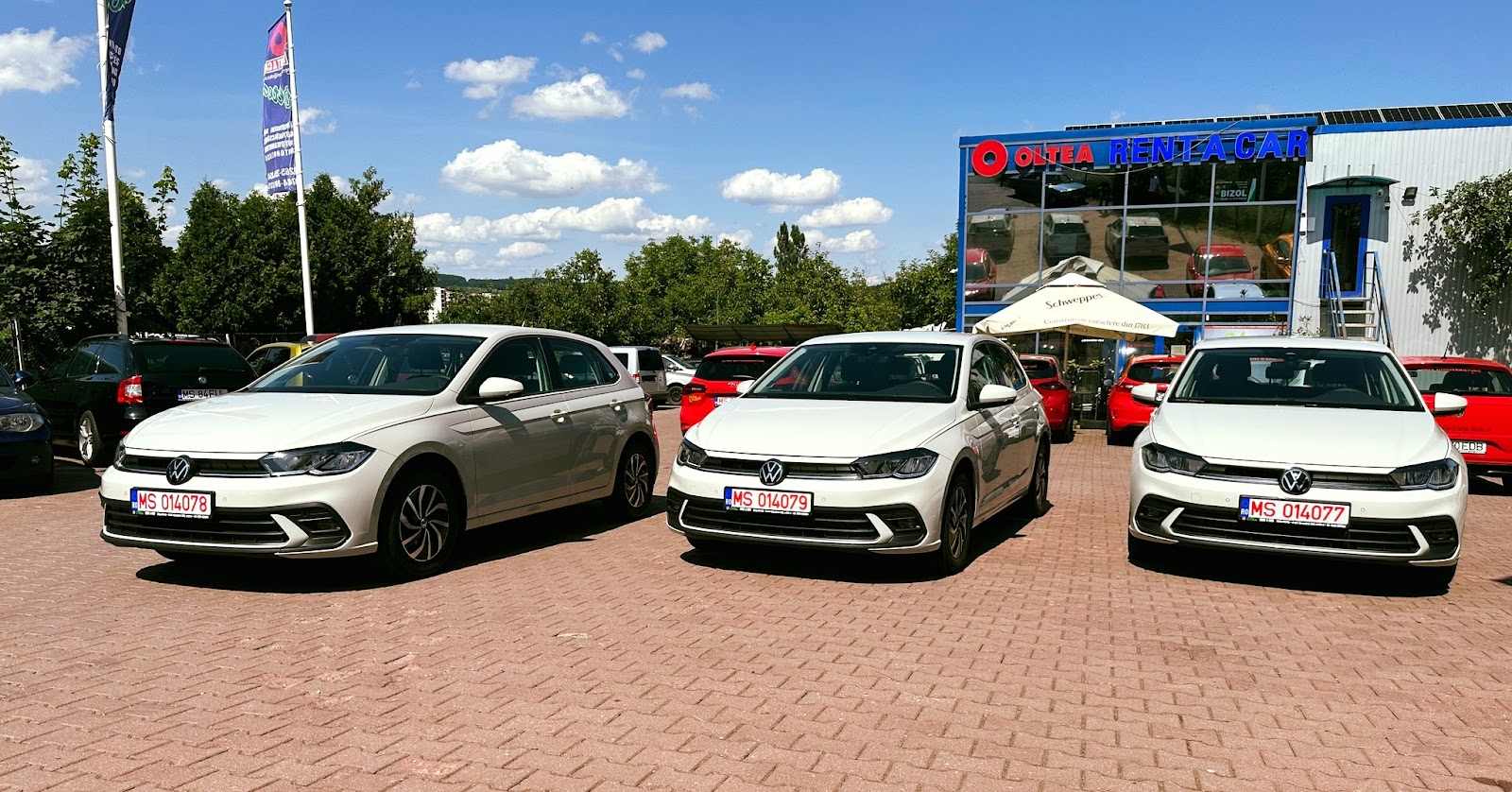 Oltea Rent a Car