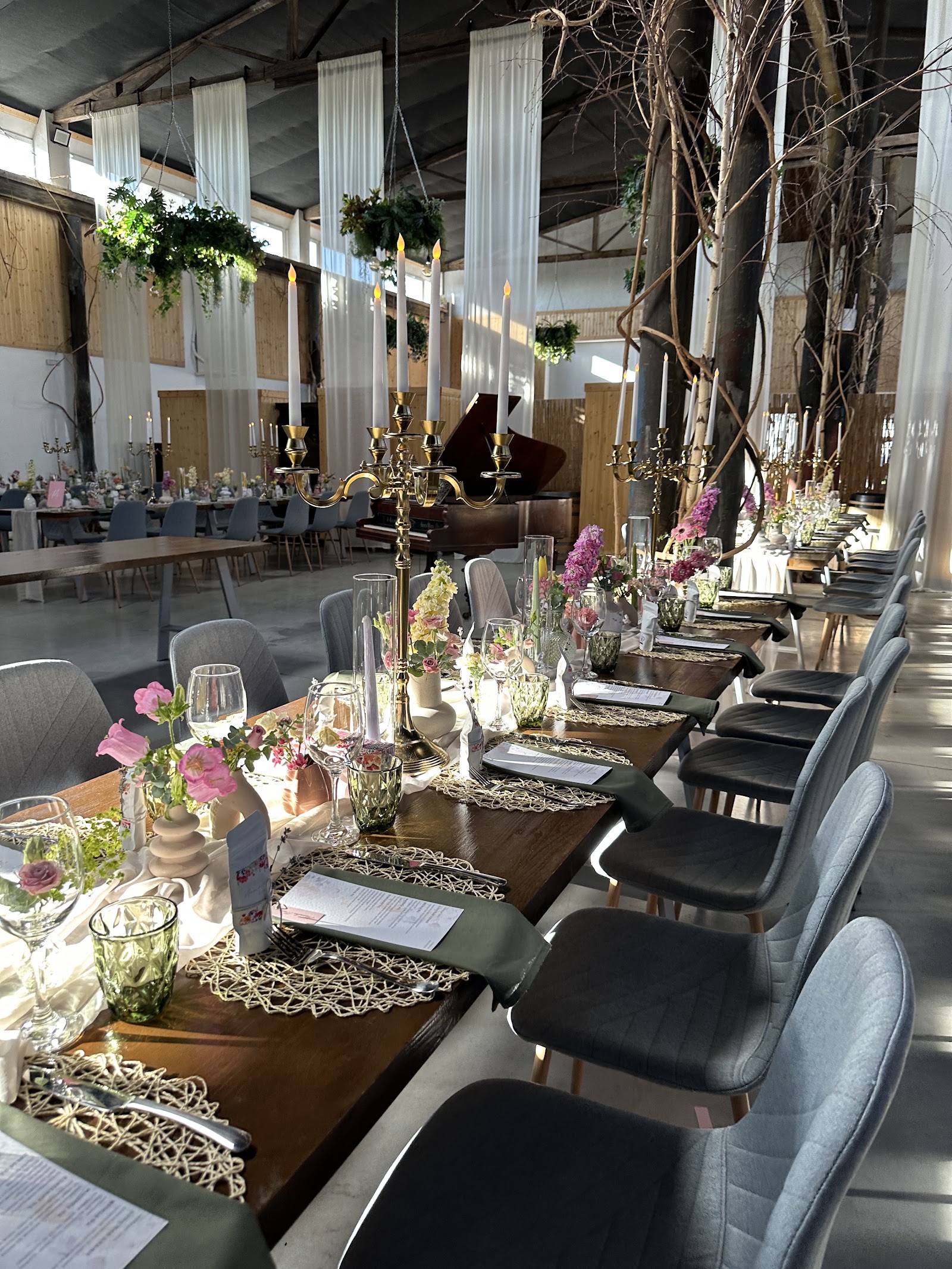 Festiv Halle