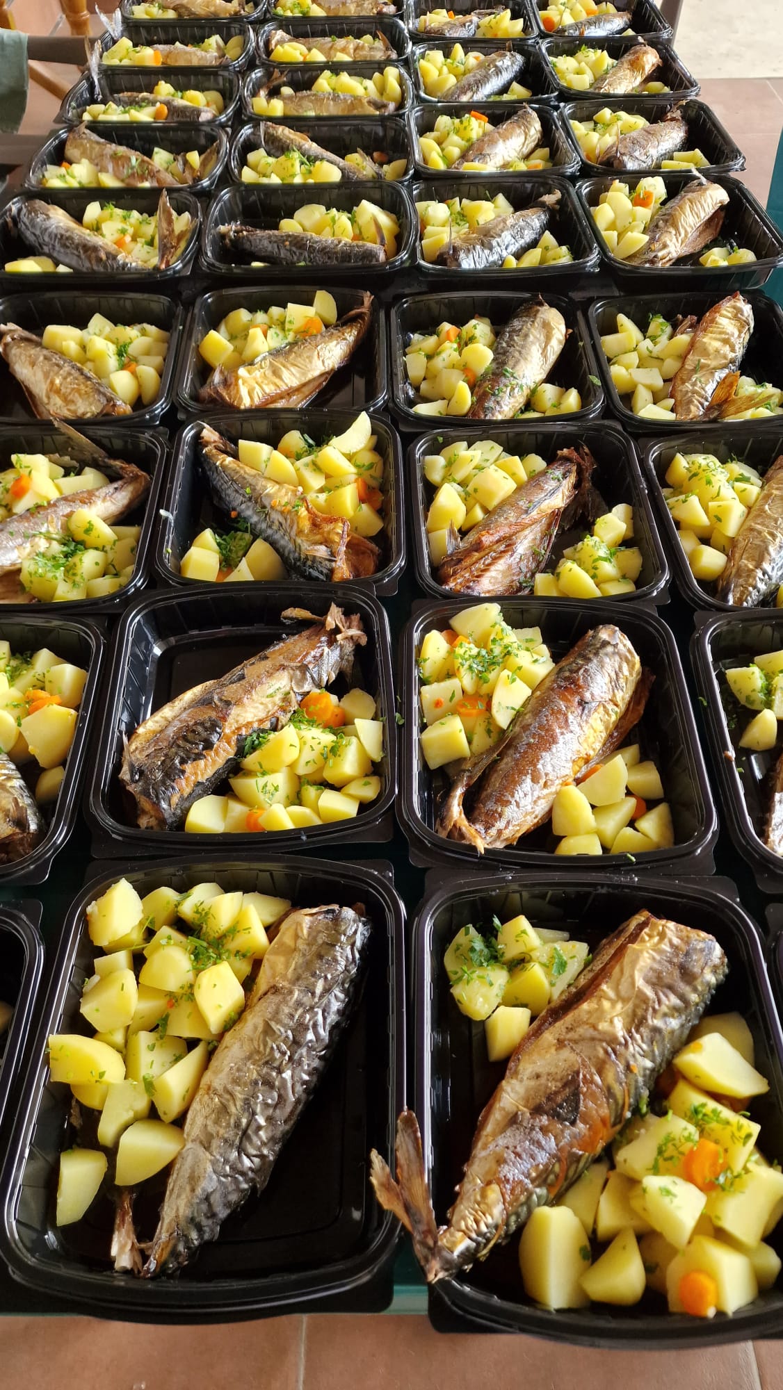 Arena Catering Braila