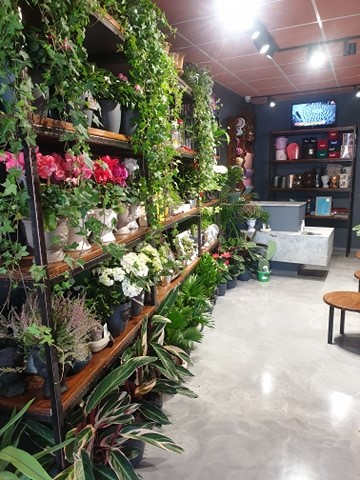 Floraria QUEEN 🌸 Florarie Brăila
