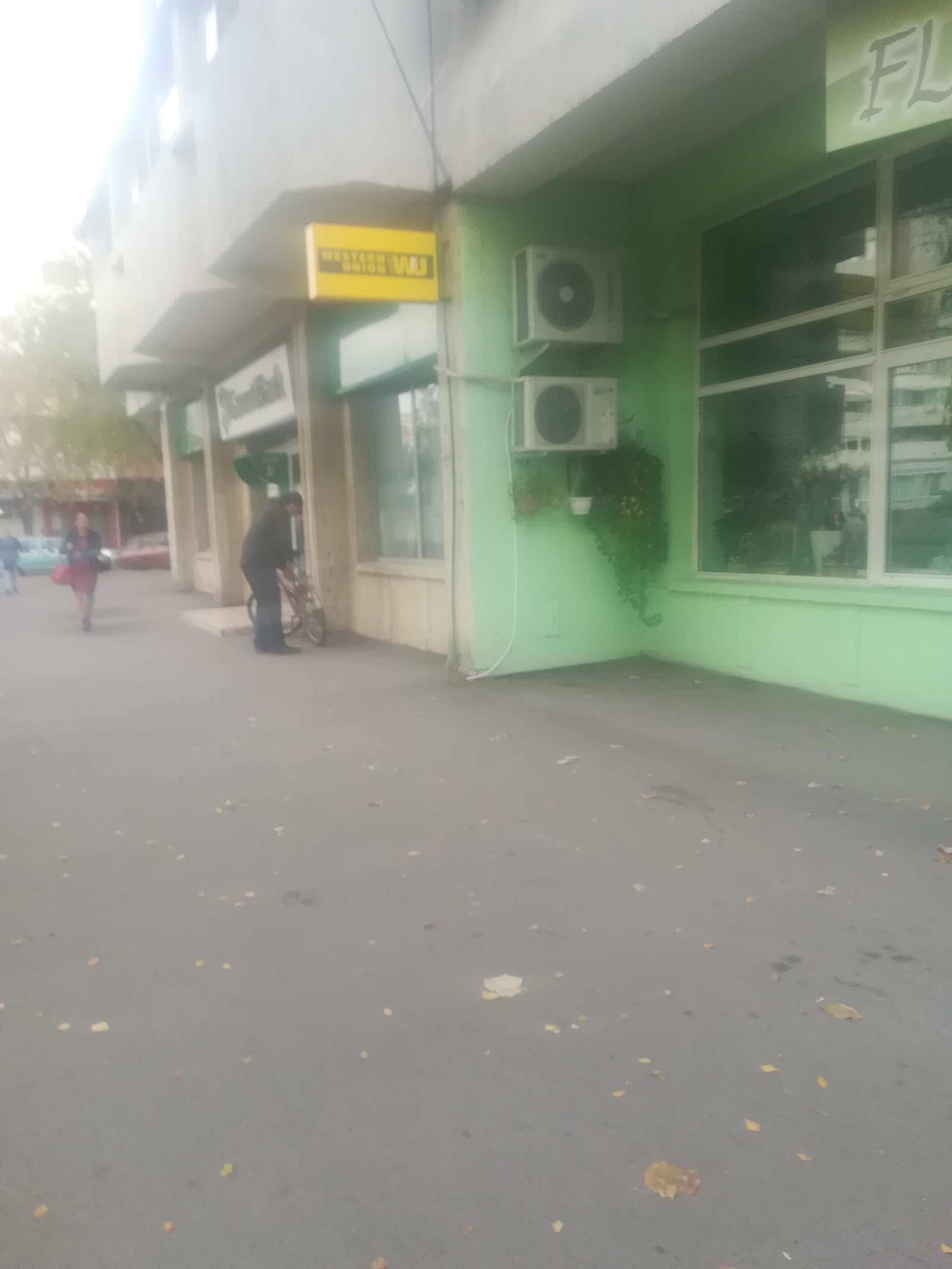 Florăria Noblesse