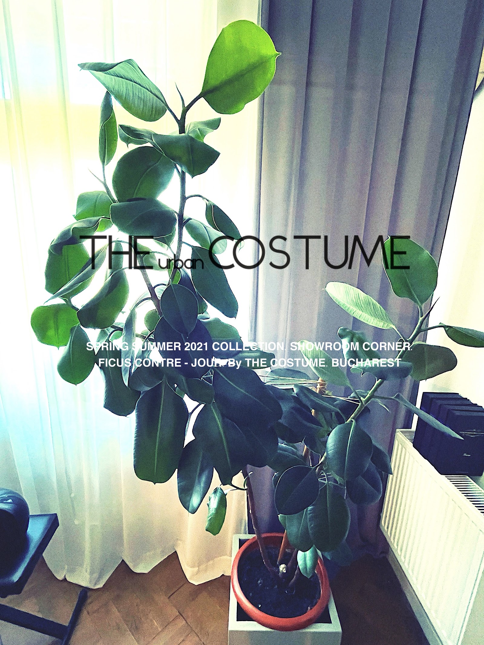 The Costume
