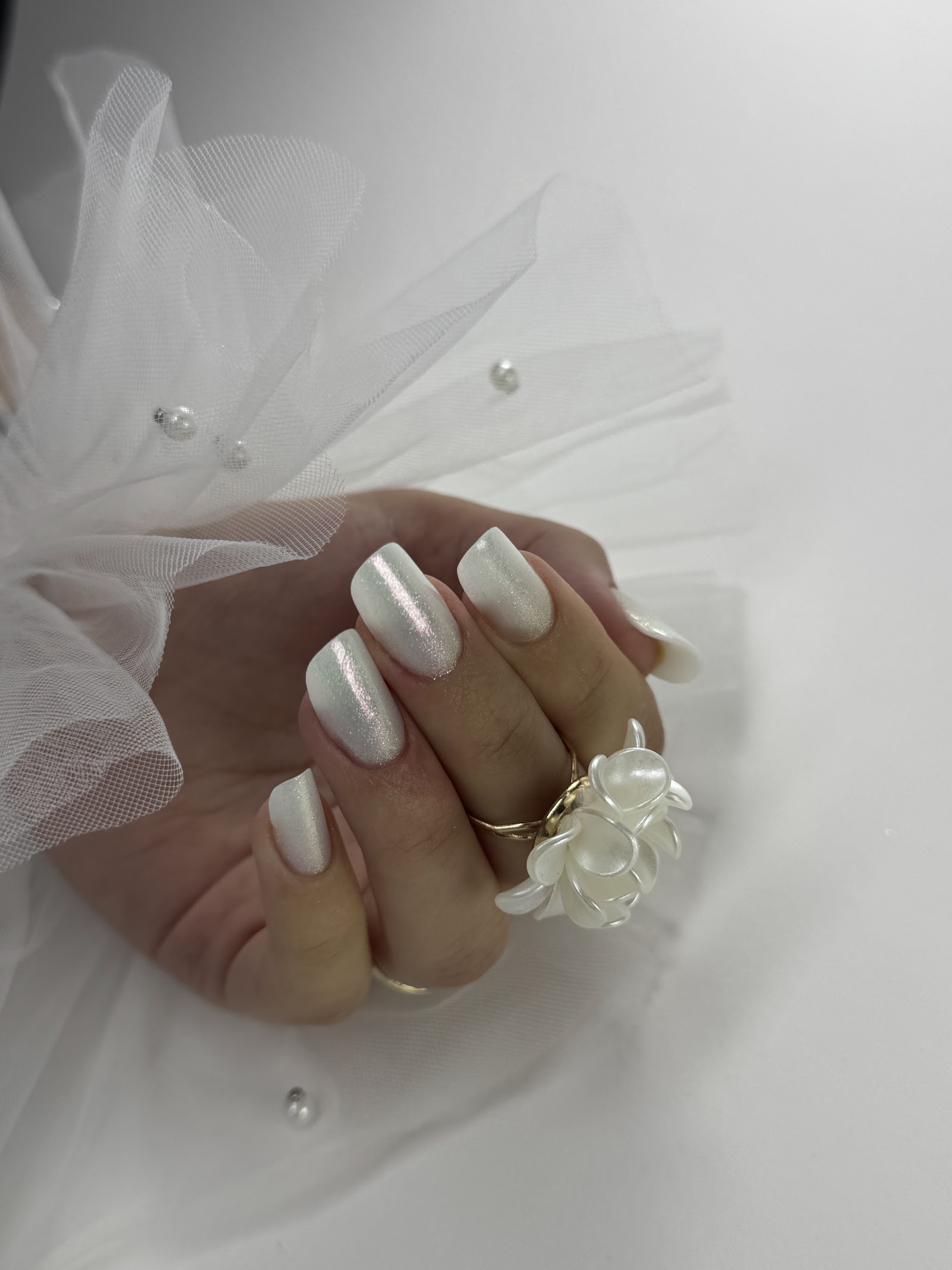 Alina Timar Hair & Academy