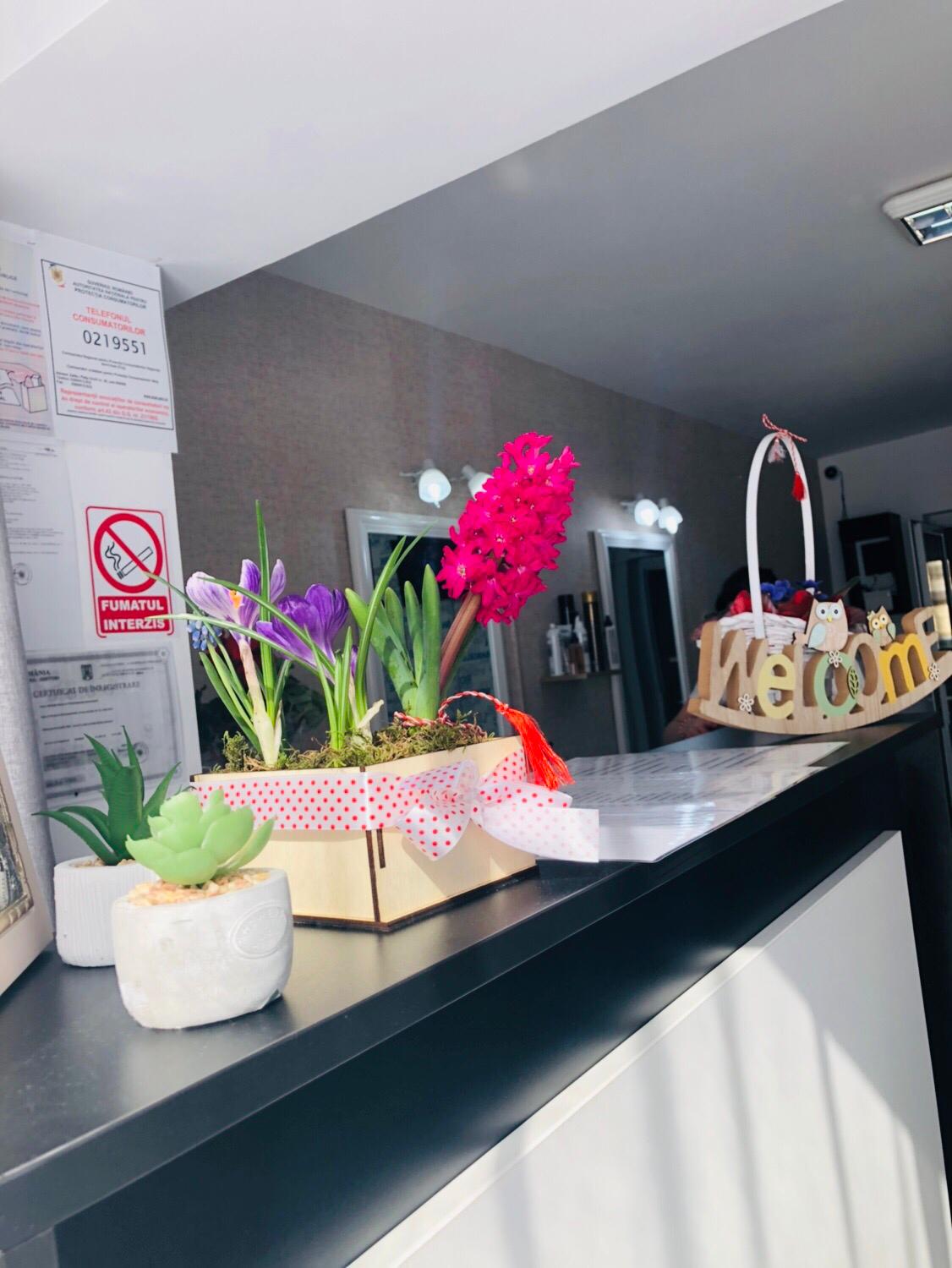 Meirosu Nicoleta II (BELLE PEPITE)