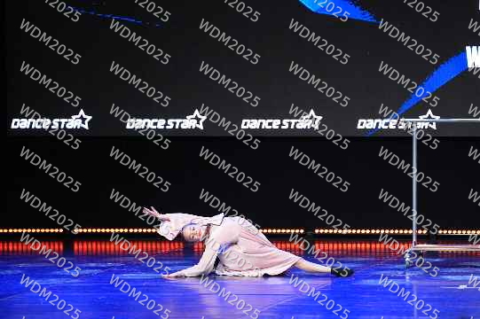 LiL Motion Dance School