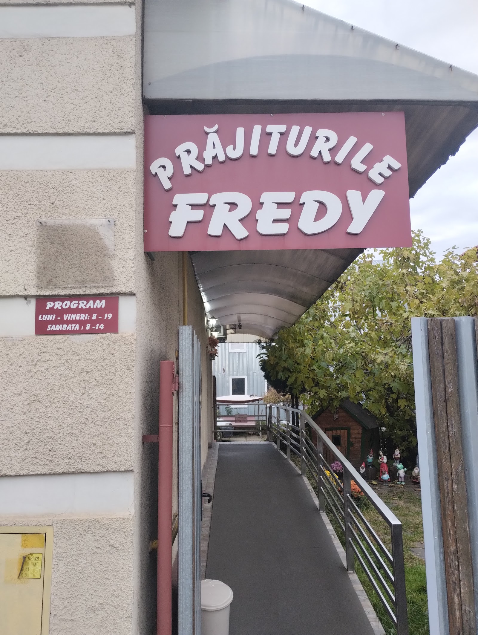 Prăjiturile Fredy