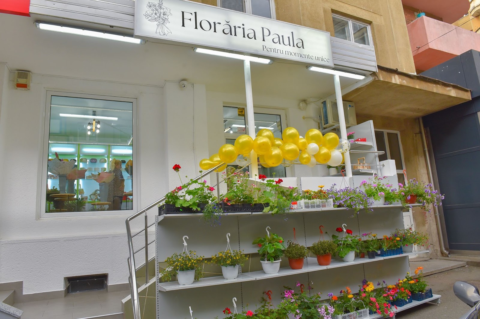 FLORĂRIA PAULA