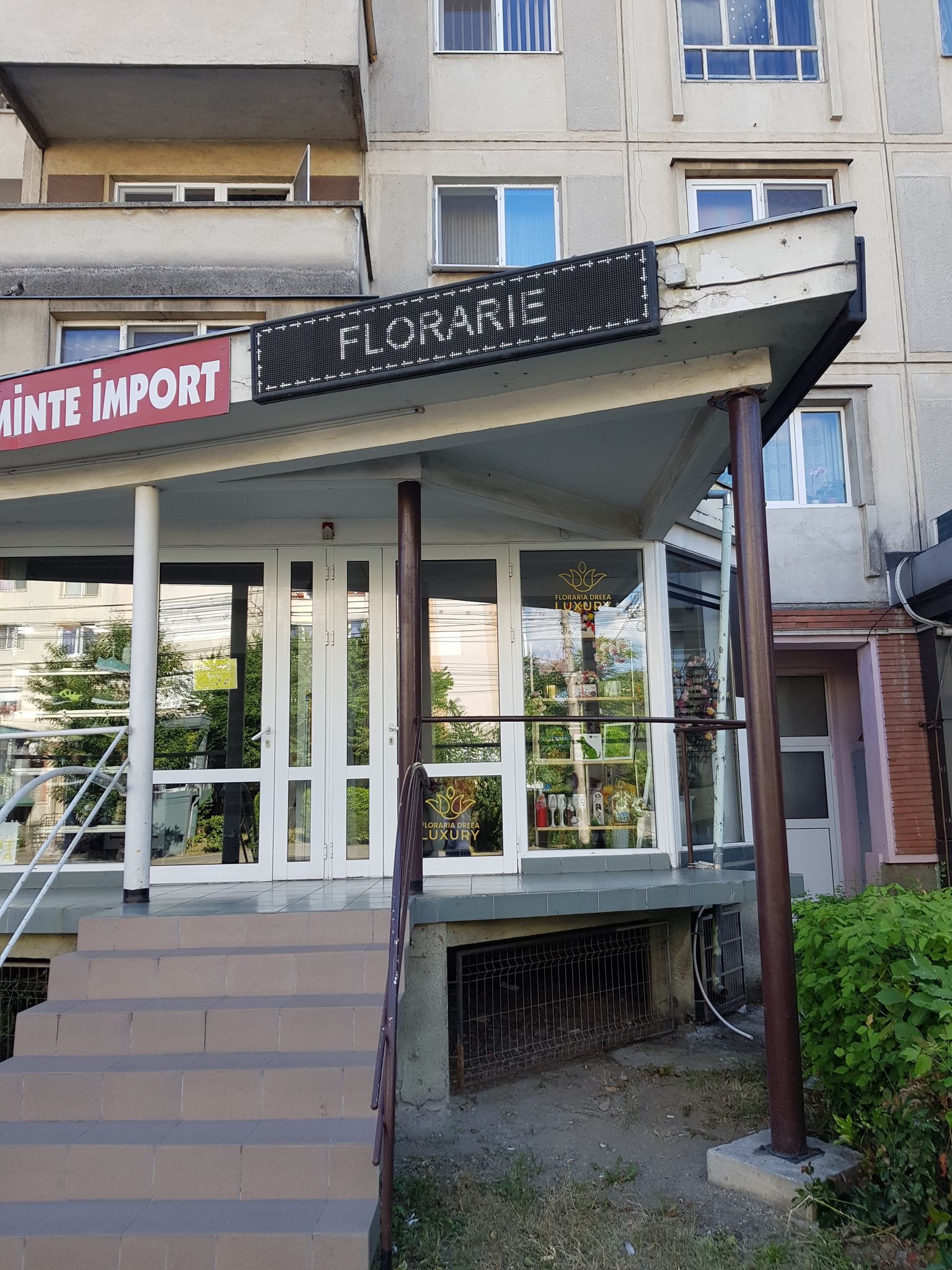 Floraria Dreea