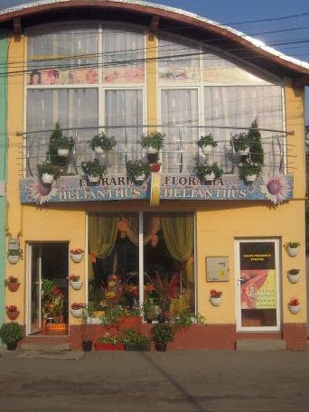 Florăria Helianthus