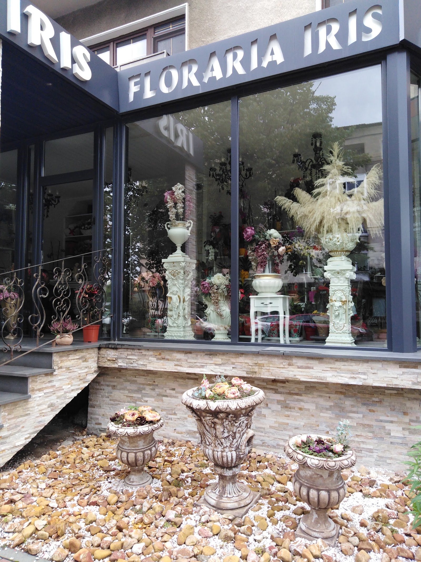 Floraria Iris