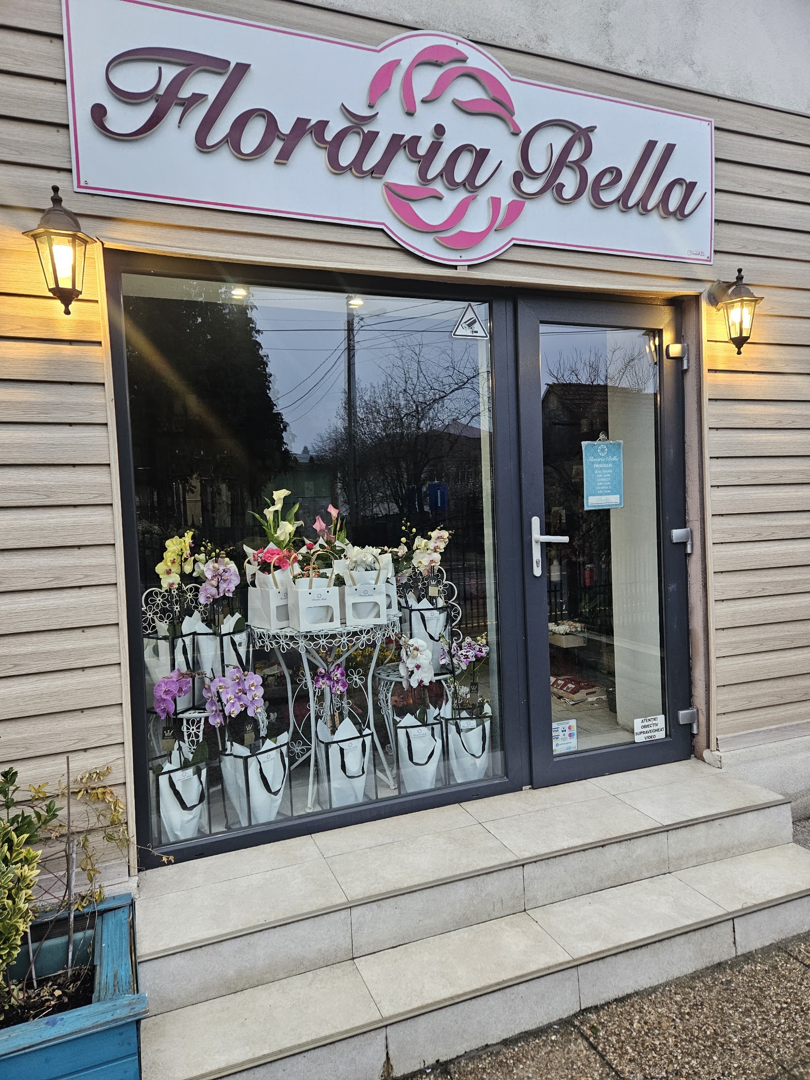 Floraria Bella
