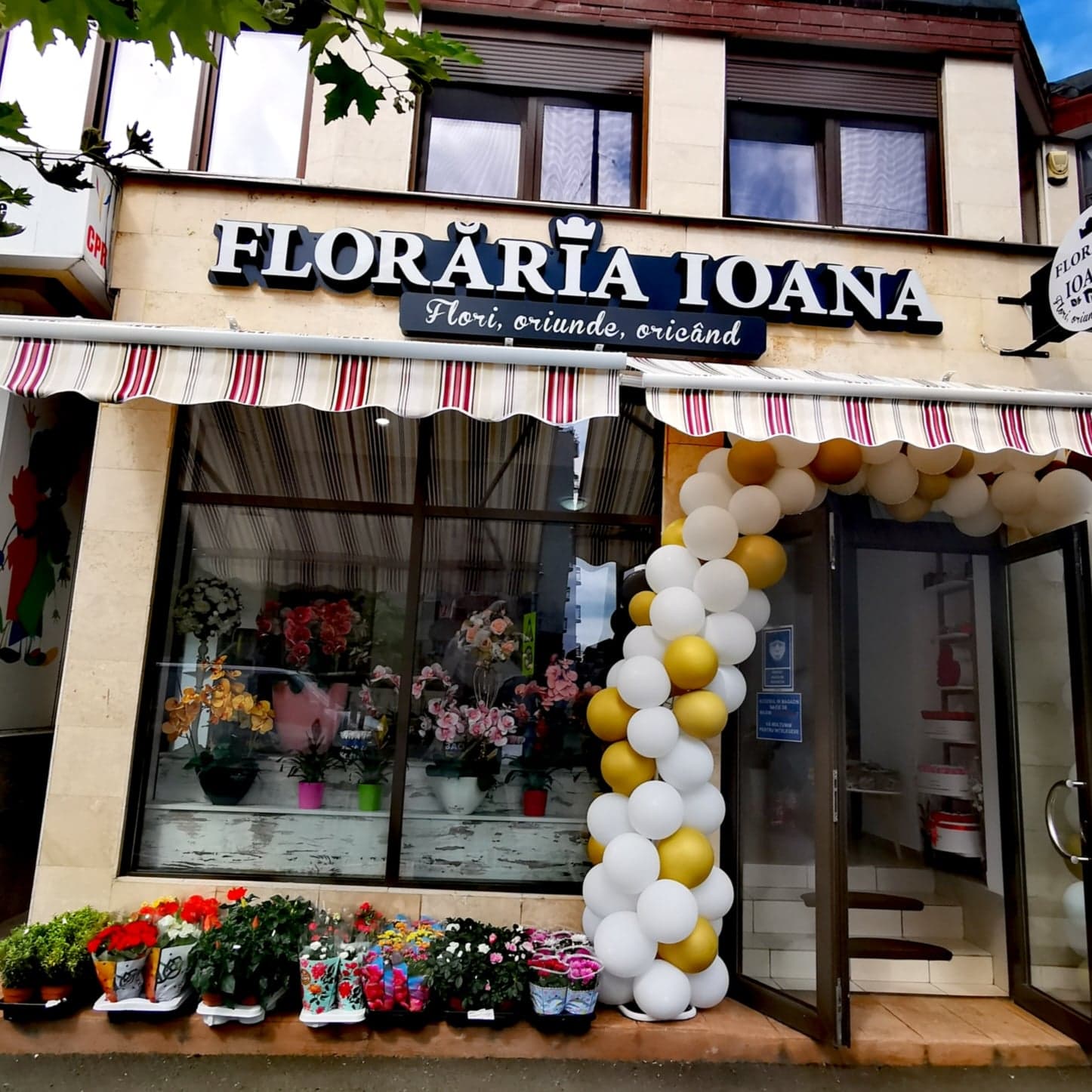 Florăria Ioana