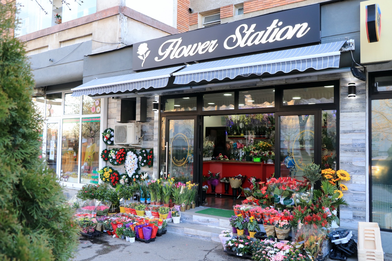 Florăria Flower Station