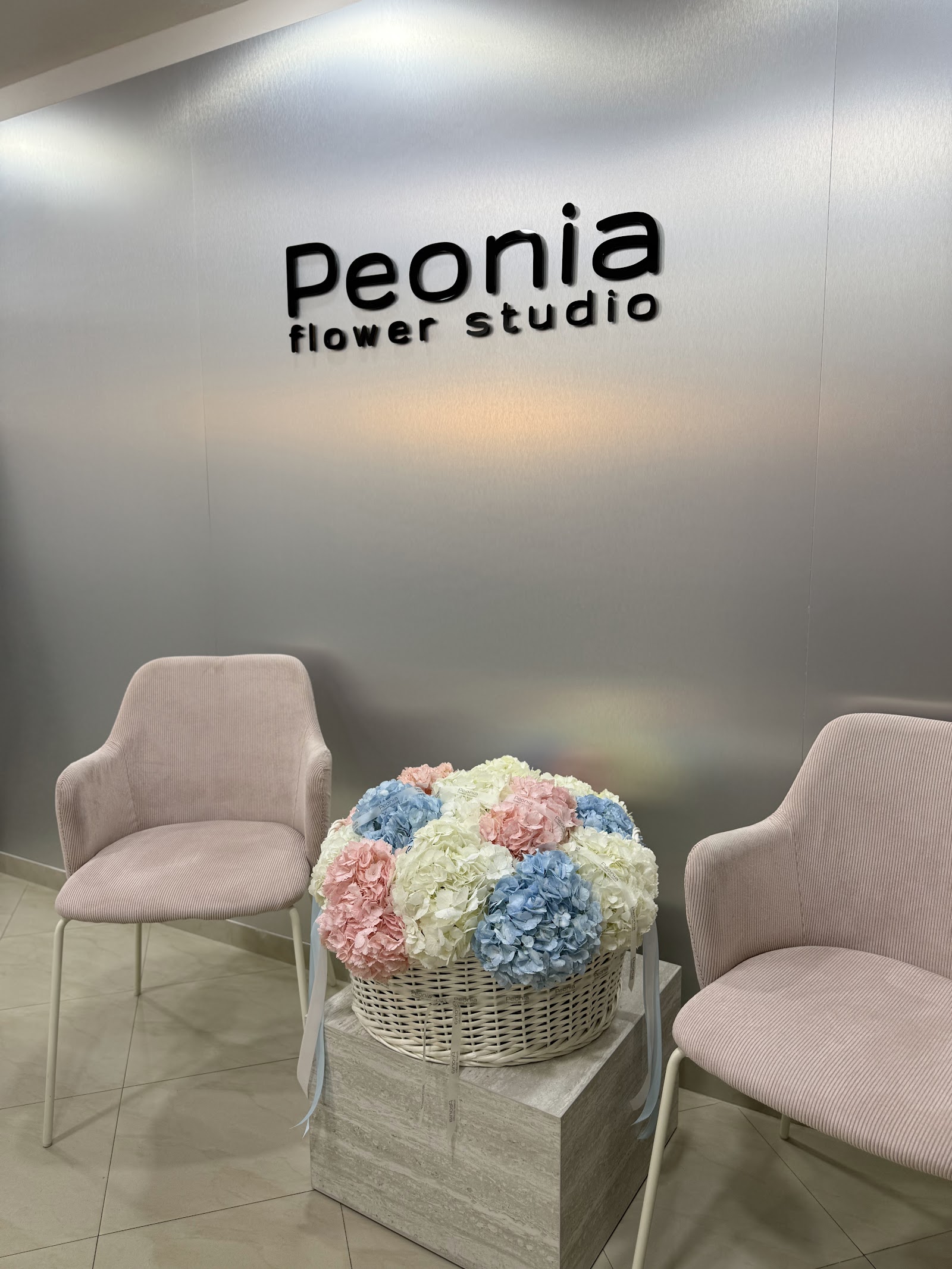 Peonia flower studio