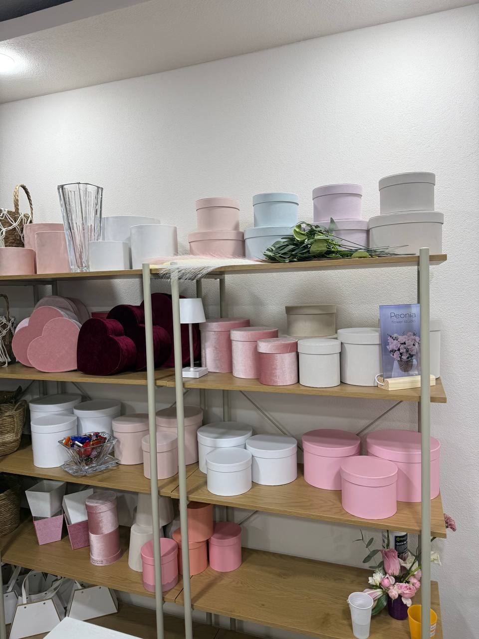 Peonia flower studio