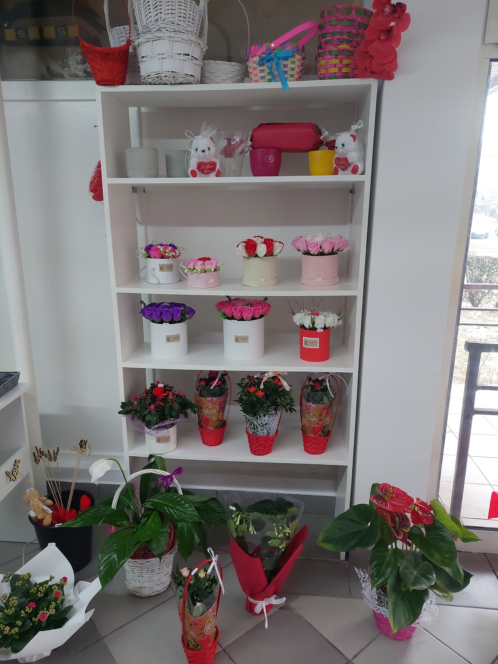 Eclipse flowers srl