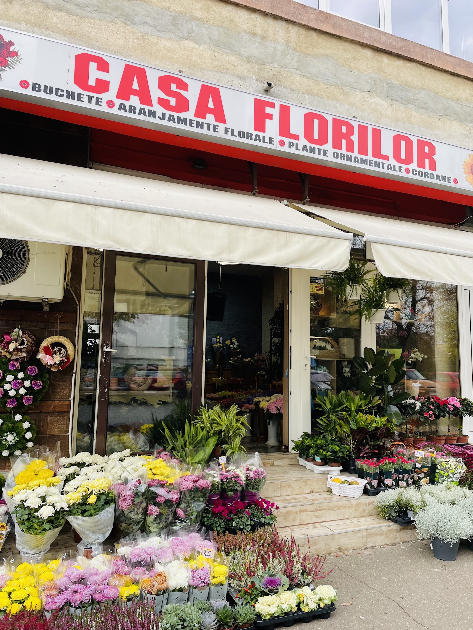 Casa Florilor