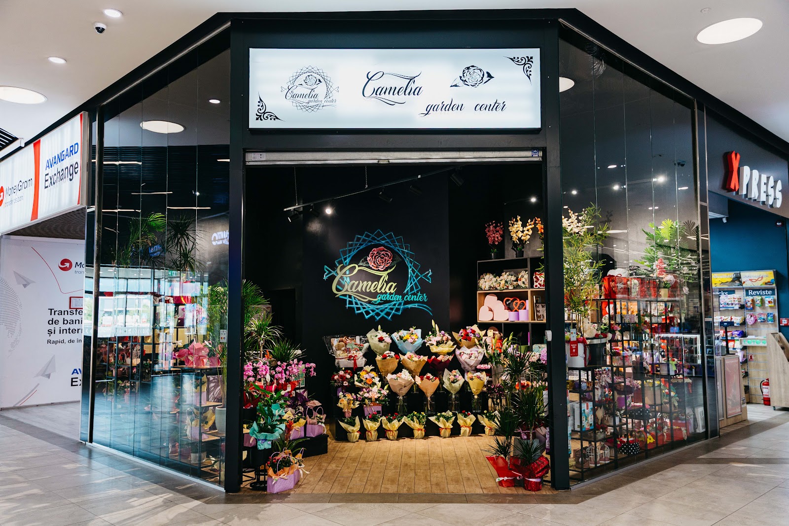 Camelia Garden