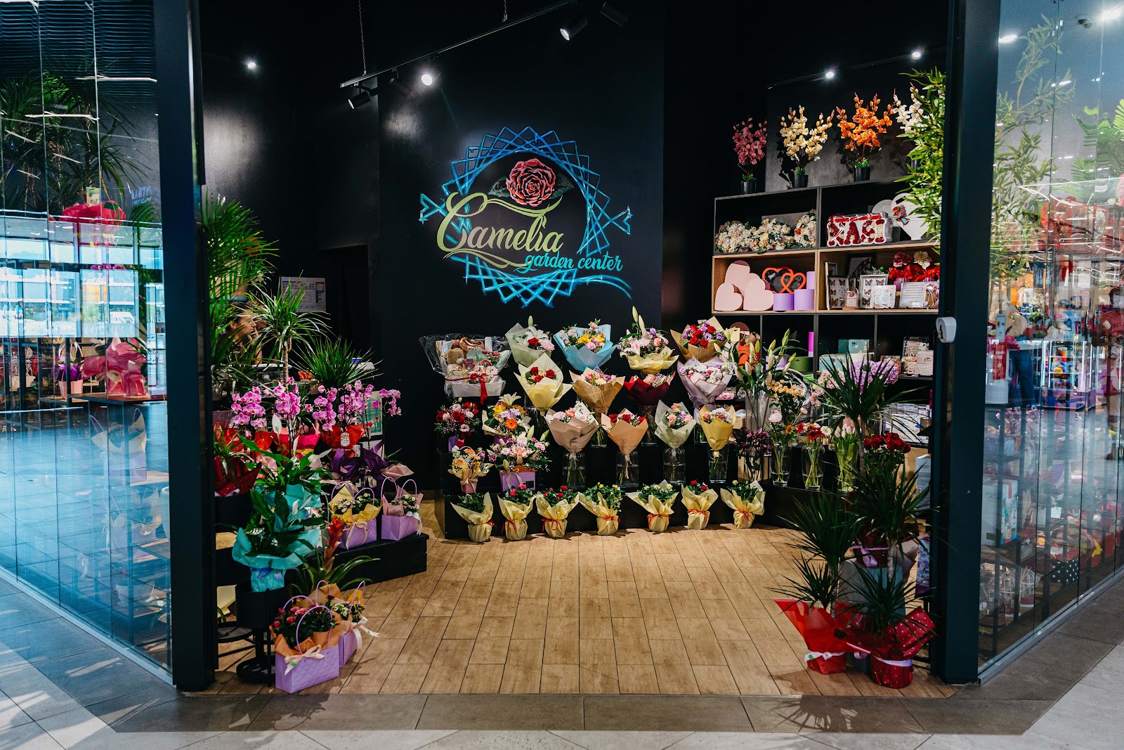 Camelia Garden