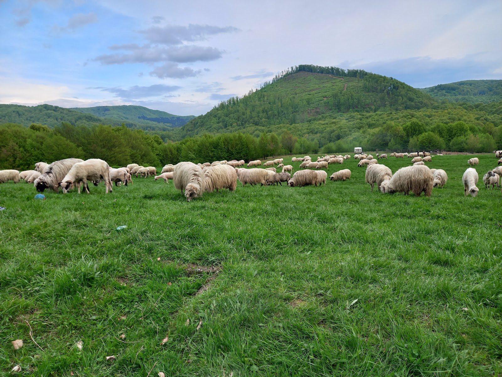 Tours Maramures