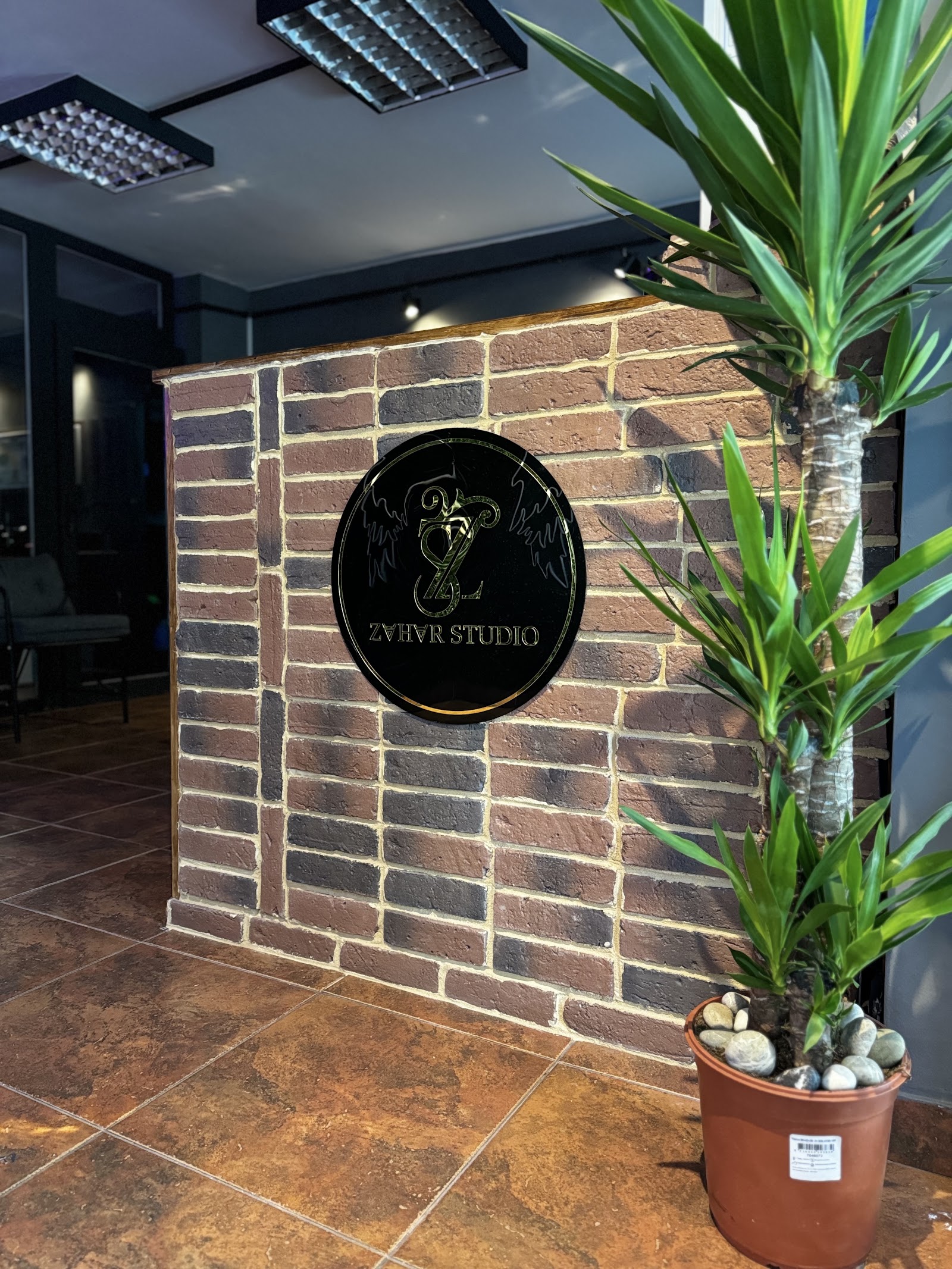 Zahar Studio