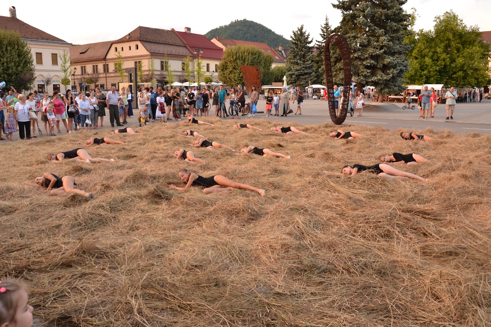 Rivulus Dance Baia Mare