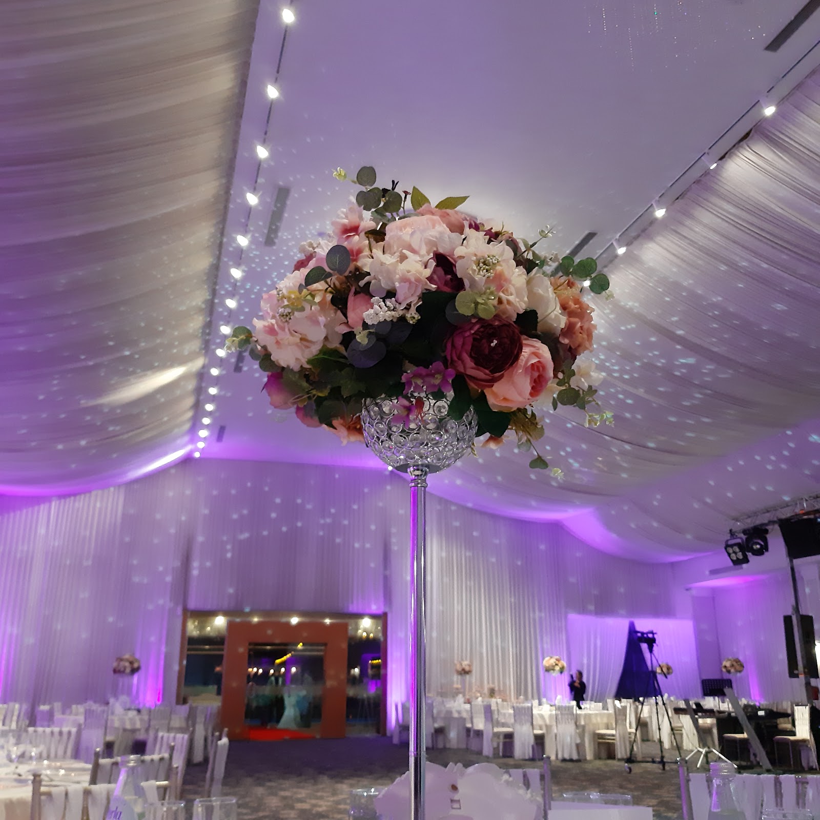 "Club Verdi"