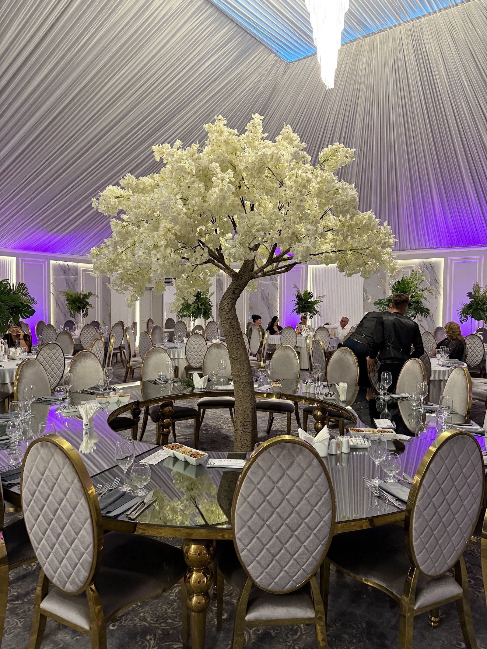 Regal Ballroom Iordache