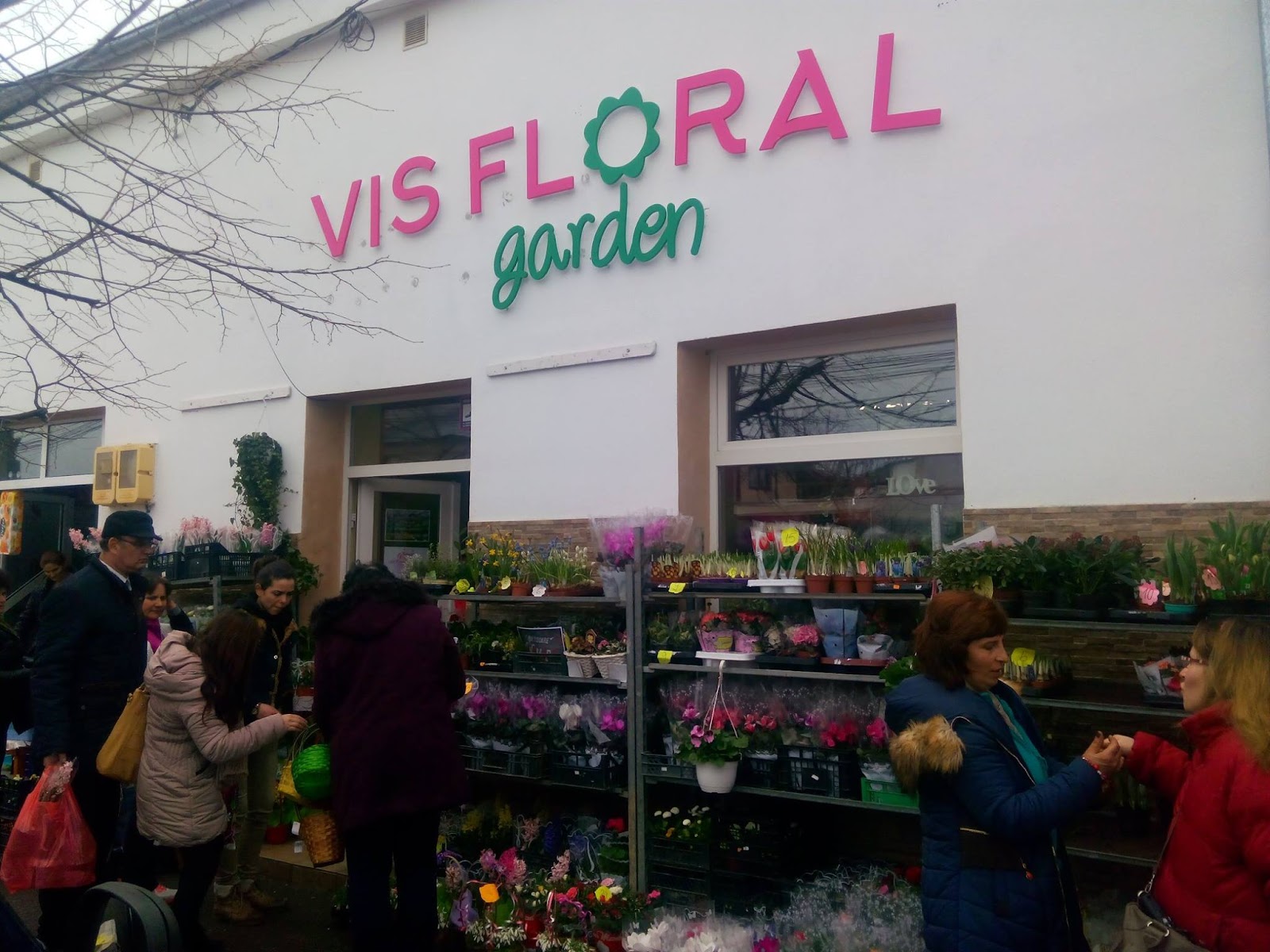 Vis Floral Garden