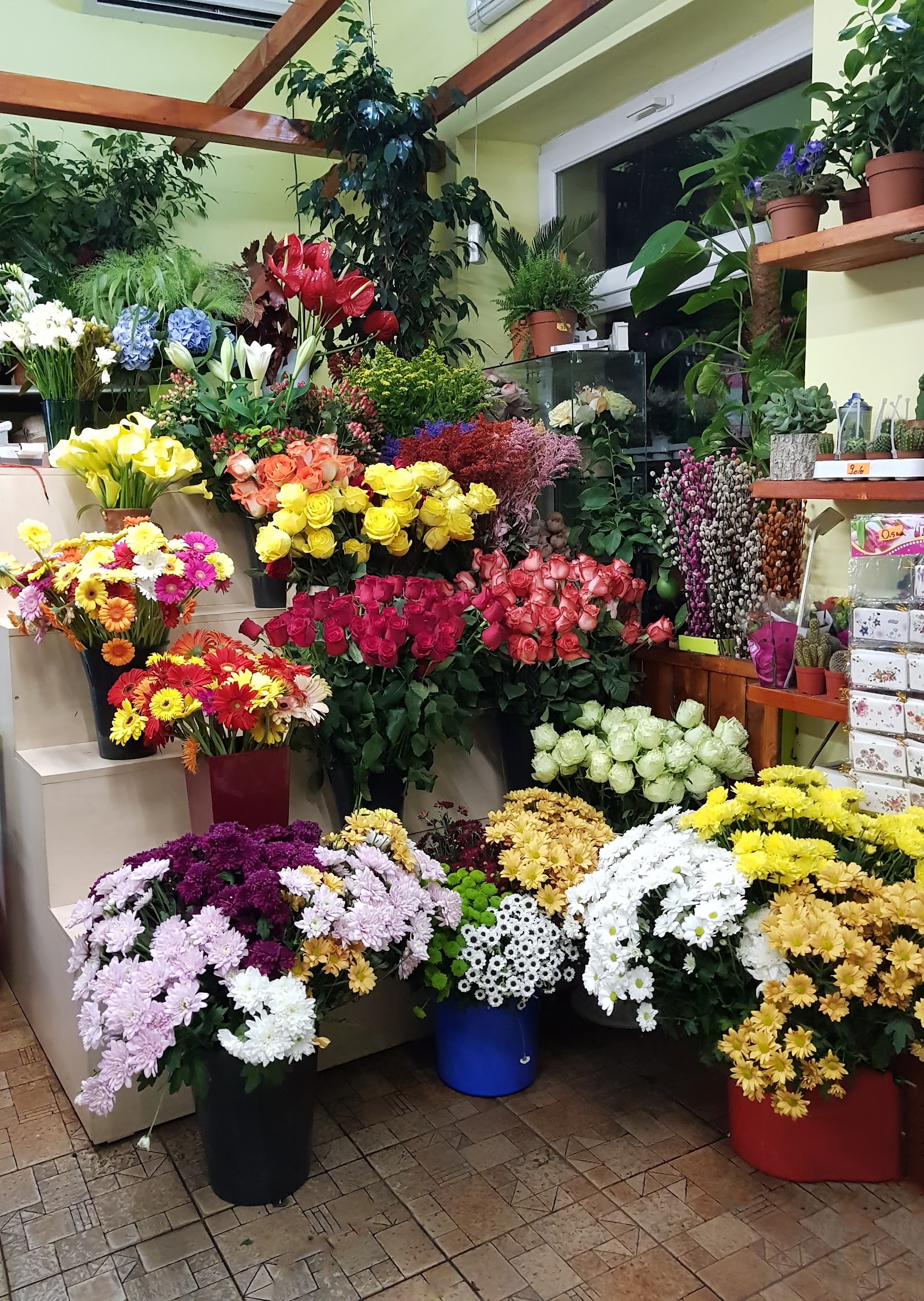 Vis Floral Garden